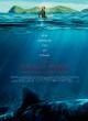 Filmposter 'The Shallows - Gefahr aus der Tiefe'