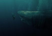 The Meg - Foto 1