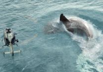 The Meg - Foto 5
