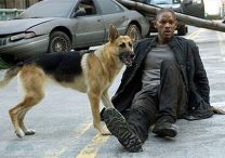 I Am Legend - Foto 1