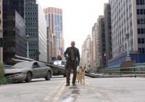 I Am Legend - Foto 3